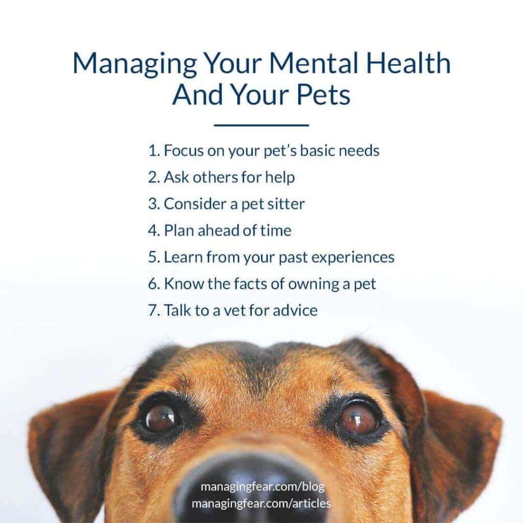 Managing Your Mental Health And Your Pets