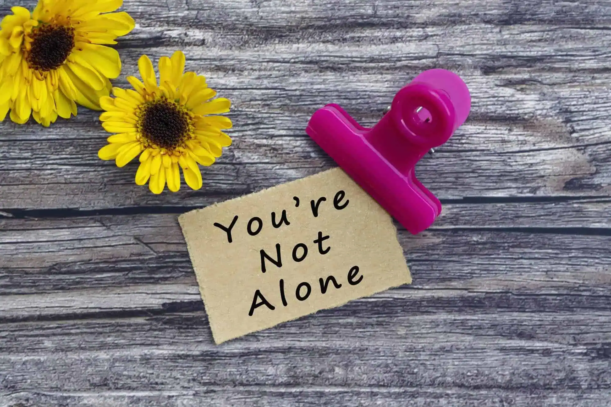 “You’re Not Alone” image illustrating ways to find help and support for mental health