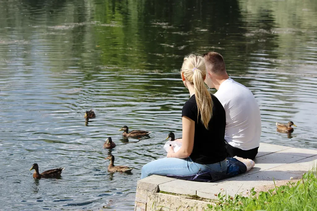 Couple feeding the ducks