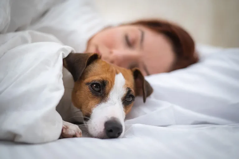 Woman asleep with a dog