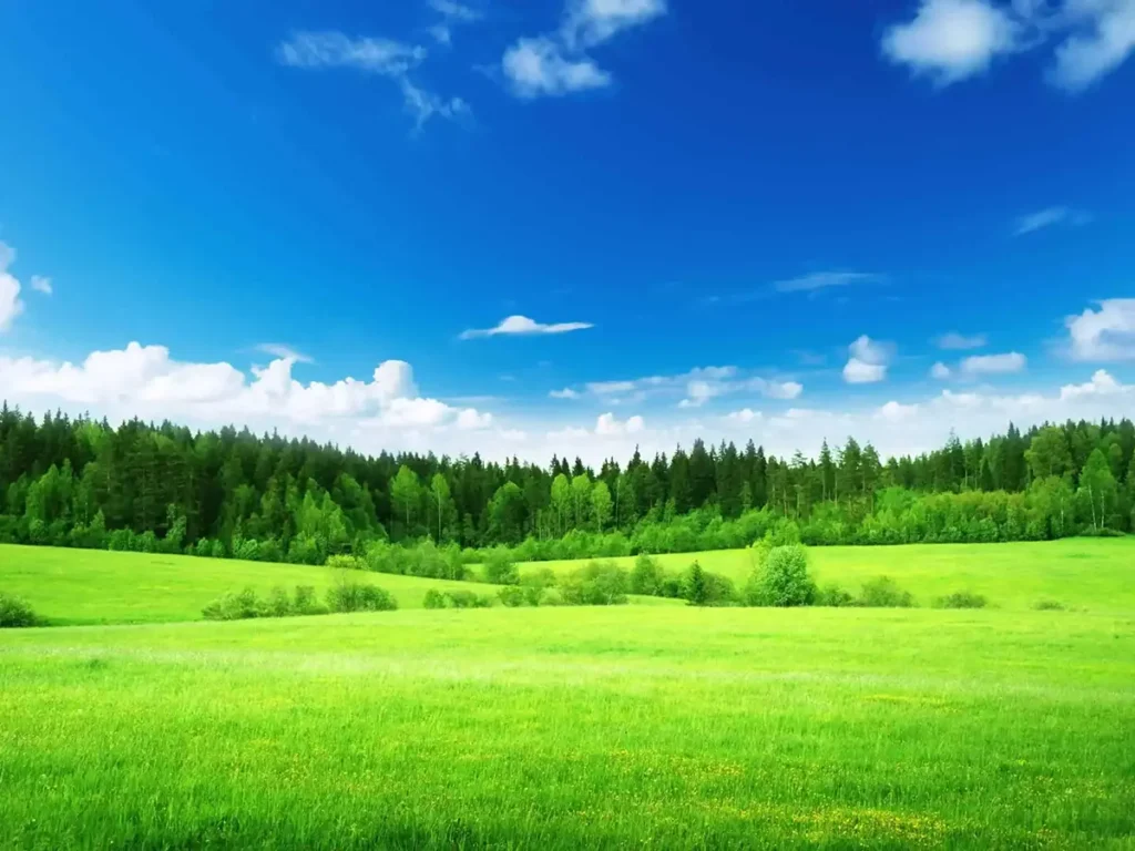 Green field image illustrating Stan Popovich media coverage and related article content